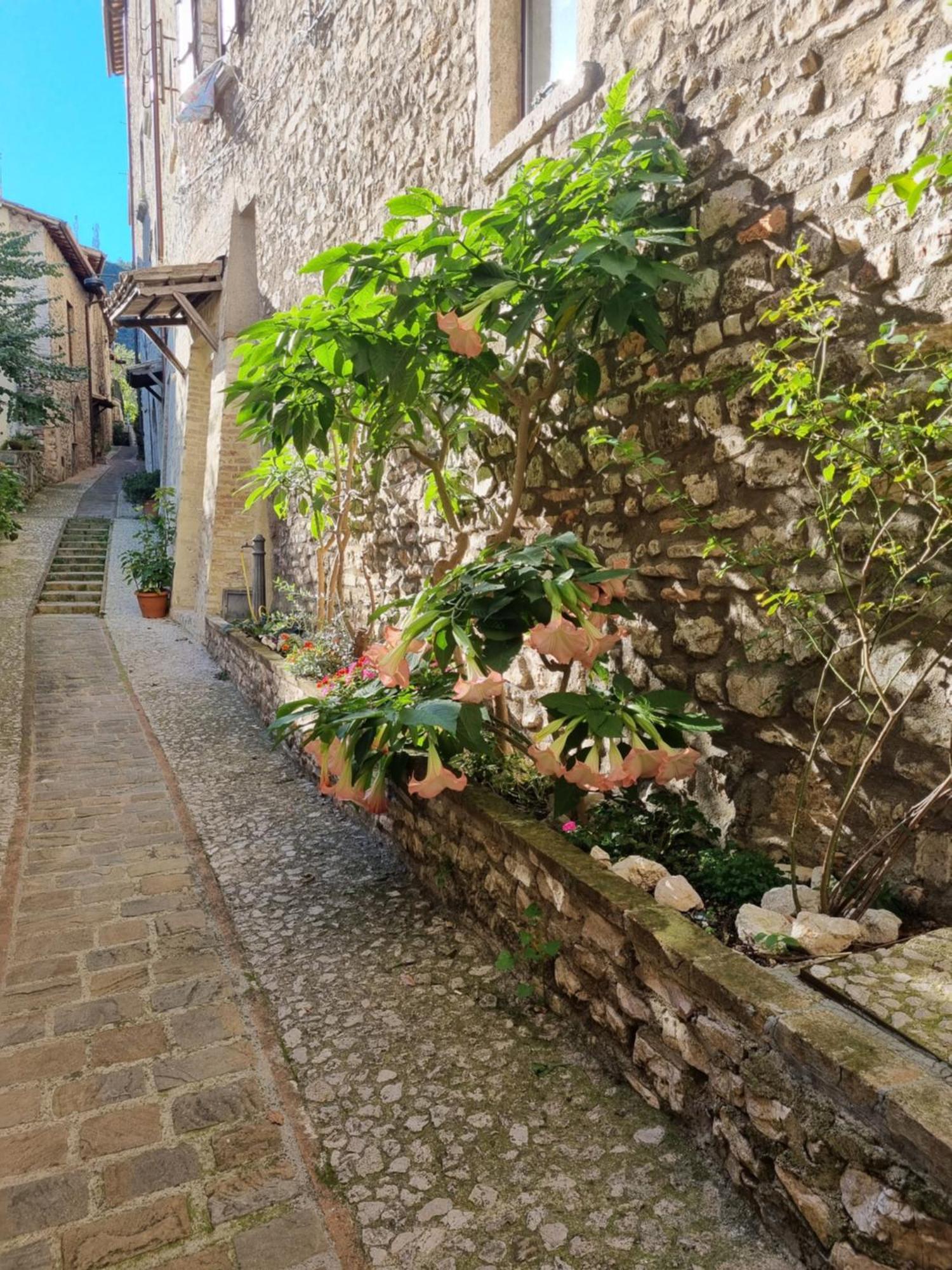 Cuore Del Castello Arrone Ngoại thất bức ảnh